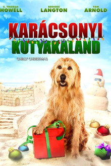 Karácsonyi kutyakaland
