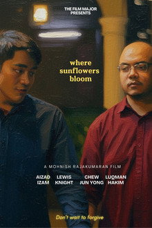 Where Sunflowers Bloom
