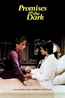 Poster do filme Promises in the Dark