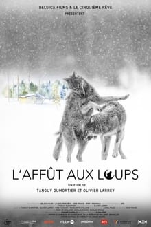  L'Affût aux loups 