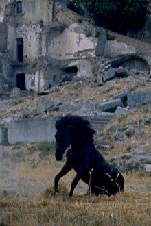 Montedoro