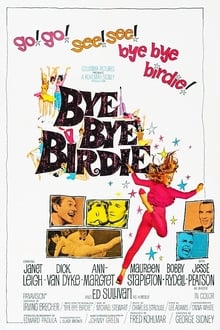 Bye Bye Birdie movie poster