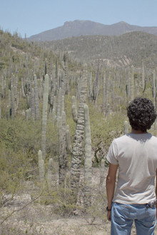 Dos cactus