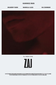 Zaj