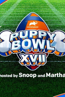 Puppy Bowl XVII