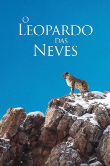 O Leopardo das Neves
