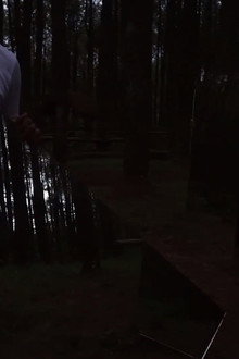 In The Pines