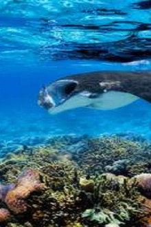 D'Arros, le paradis des Seychelles