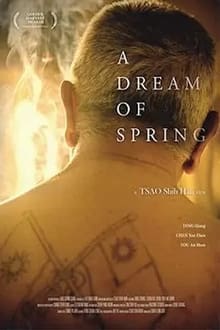 Poster do filme A Dream of Spring
