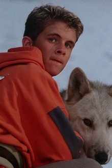 Silver Wolf