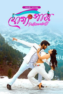 పెళ్లి సందD