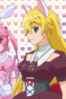 ナースウィッチ小麦ちゃんR