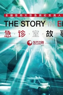 The Story in ER tv show poster