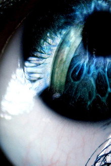 Human Instinct