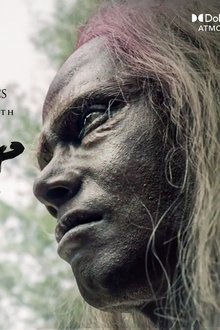 মন্দার