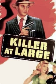 Poster do filme Killer at Large