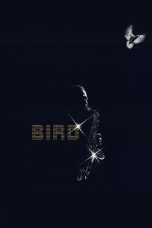 Poster do filme Bird