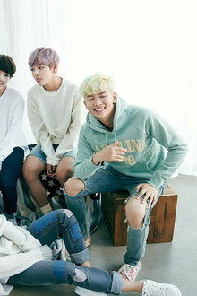 BTS 2015 Season's Greetings