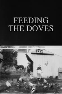 Poster do filme Feeding the Doves