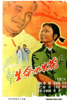 生命的火花