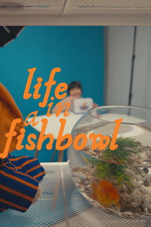 Life in a Fishbowl