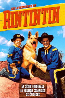 Les Aventures de Rintintin