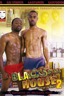 Blacks in Da House 2: Brothas in Heat!