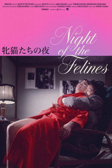 Night of the Felines