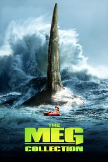 The Meg Collection