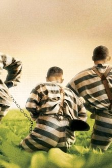 O-Brother,-Where-Art-Thou?---Eine-Mississippi-Odyssee
