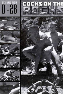 Cocks on the Rocks