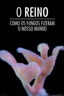 O Reino: Como os Fungos Fizeram o Nosso Mundo