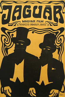 Jaguár