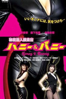 Secret Undercover Agent: Honey & Bunny