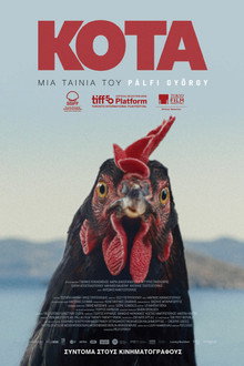 Κότα