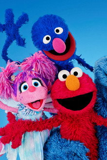 My Sesame Street Friends