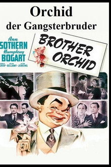 Orchid, der Gangsterbruder