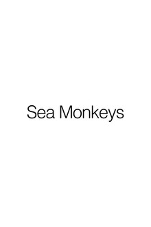 Sea Monkeys
