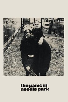 The Panic in Needle Park The Panic in Needle Park