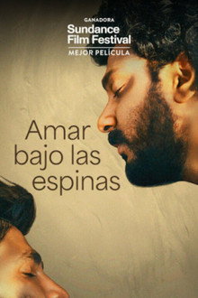 Amar bajo las espinas