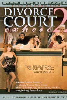 Divorce Court Expose 2