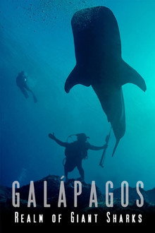 Galapagos Realm Of Giant Sharks