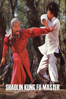 Shaolin Kung Fu Master