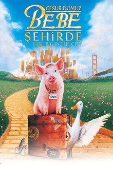 Cesur Domuz Bebe: Şehirde