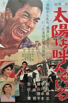 The Sun is Calling You