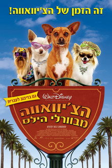 הצ'יוואווה מבוורלי הילס