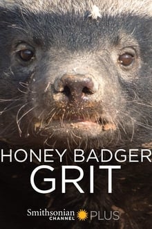 Poster do filme Honey Badger: Grit