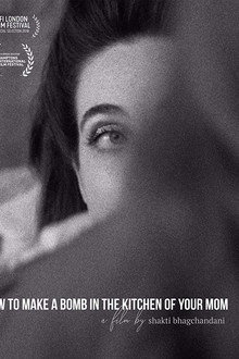 How to Make a Bomb in the Kitchen of Your Mom