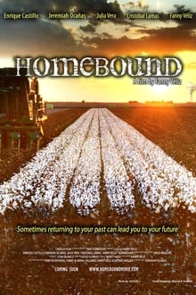 Poster do filme Homebound