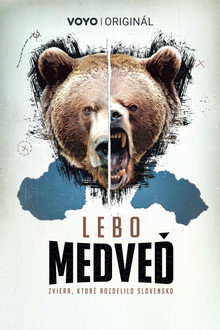Lebo medveď